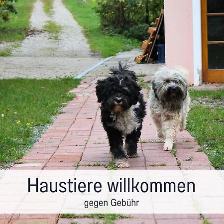 Seezeit Ferienwohnungen & Seminarhaus Am Ammersee Diessen am Ammersee Exterior foto