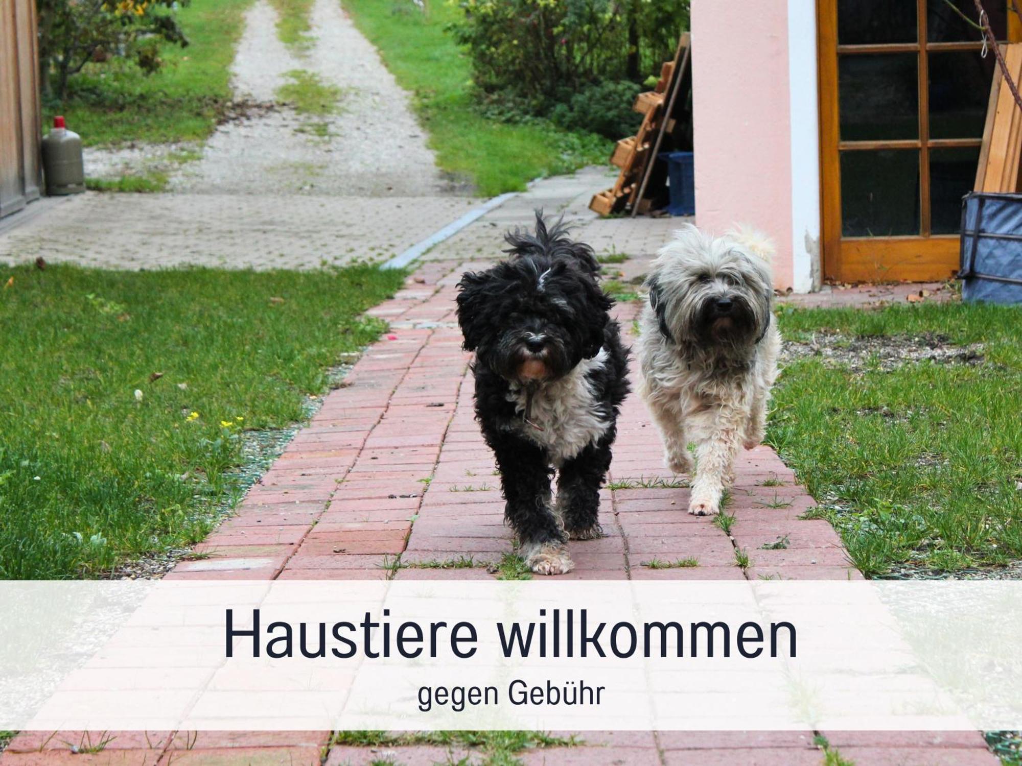 Seezeit Ferienwohnungen & Seminarhaus Am Ammersee Diessen am Ammersee Exterior foto